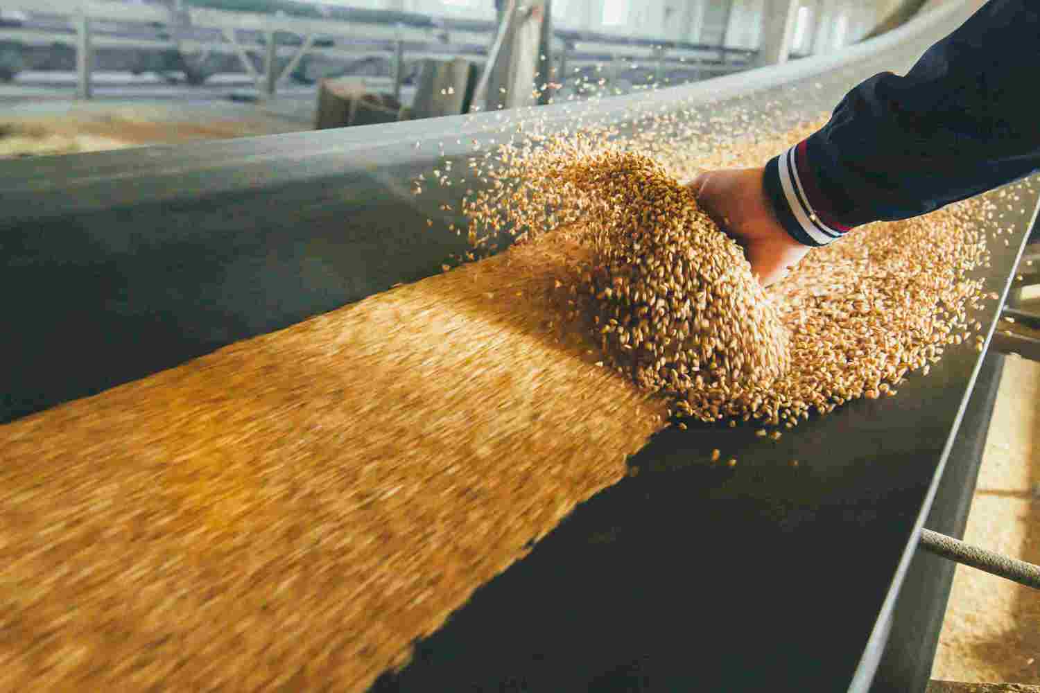 feed mill efficiency