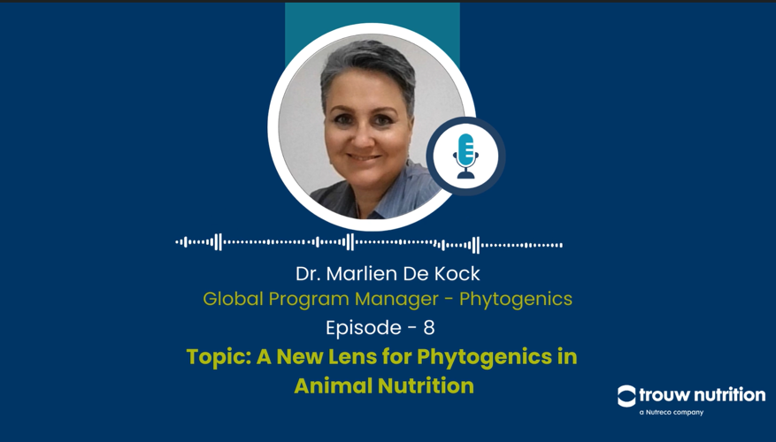 A New Lens for Phytogenics in Animal Nutrition