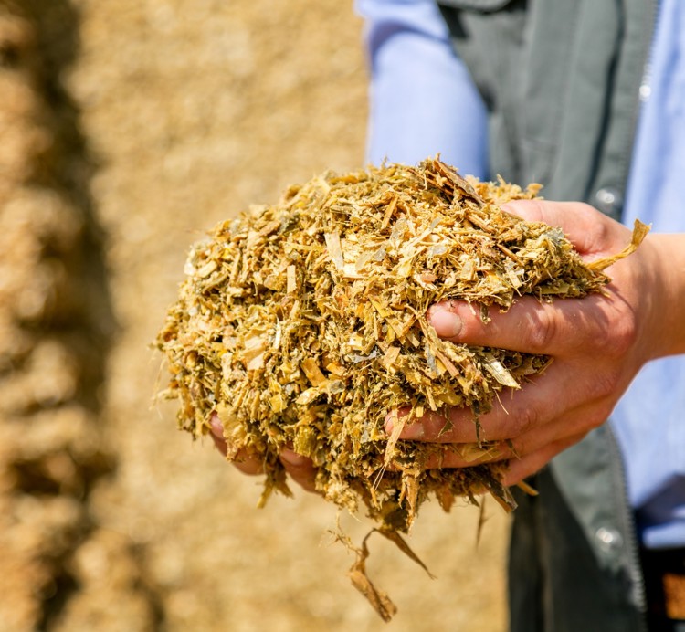 Animal feed silage