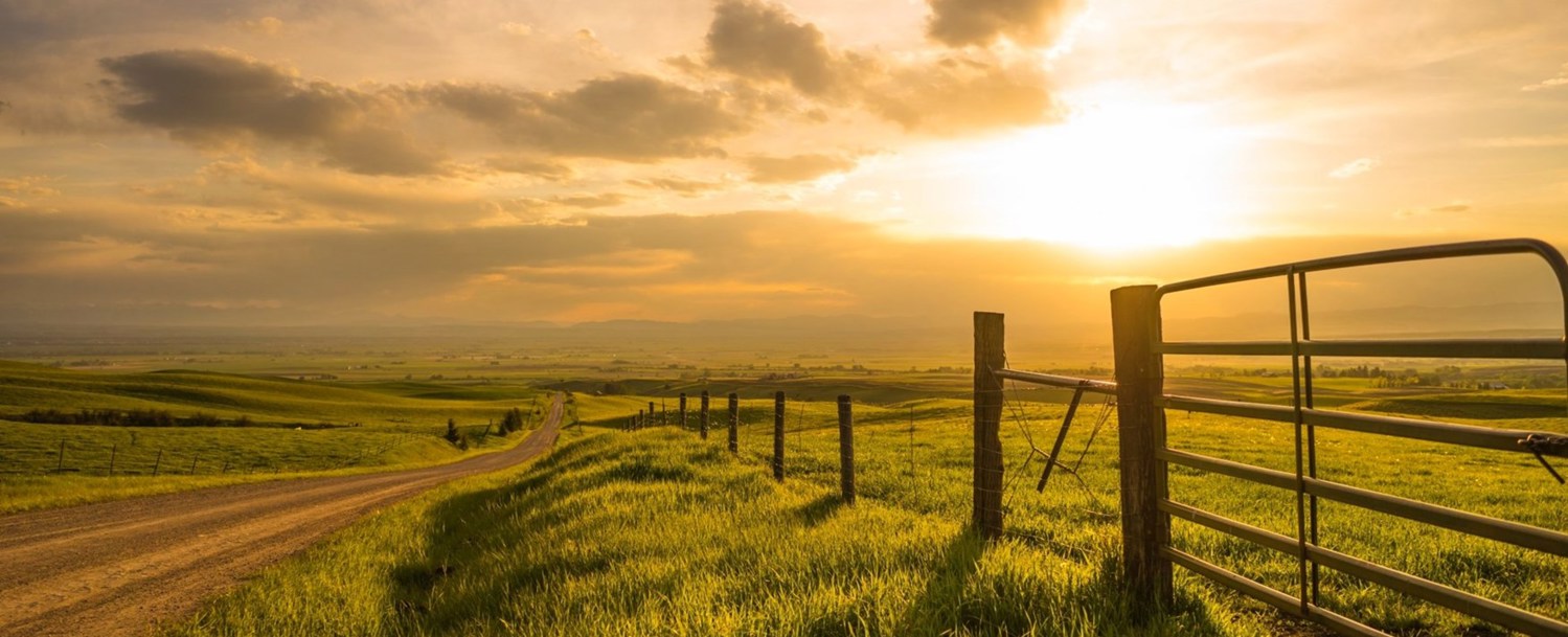 Agricultural farm land 