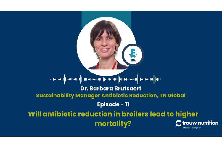 antibiotic reduction in broilers