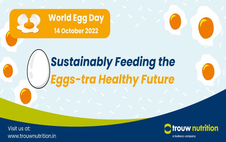 India's contribution of Egg production to the world