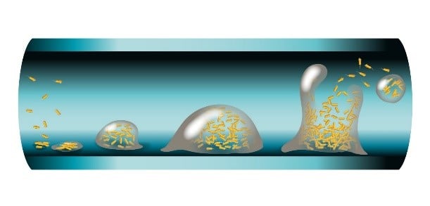 Water is crucial for poultry, aiding digestion, and nutrient absorption. Chickens consume twice as much water as feed, making a safe, clean water supply vital.