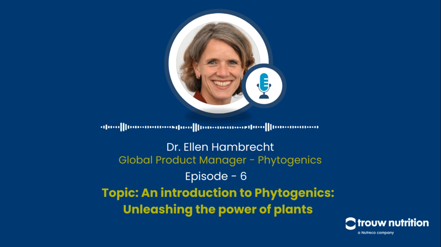 An introduction to Phytogenics: Unleashing the power of plants