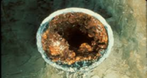 Biofilms clogging the pipeline