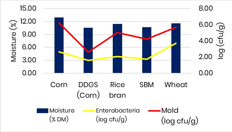moisture, mould and enterobacteriaceae growth
