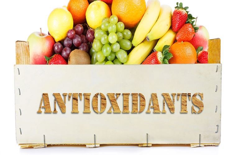 how to increase antioxidants through animal nutrition