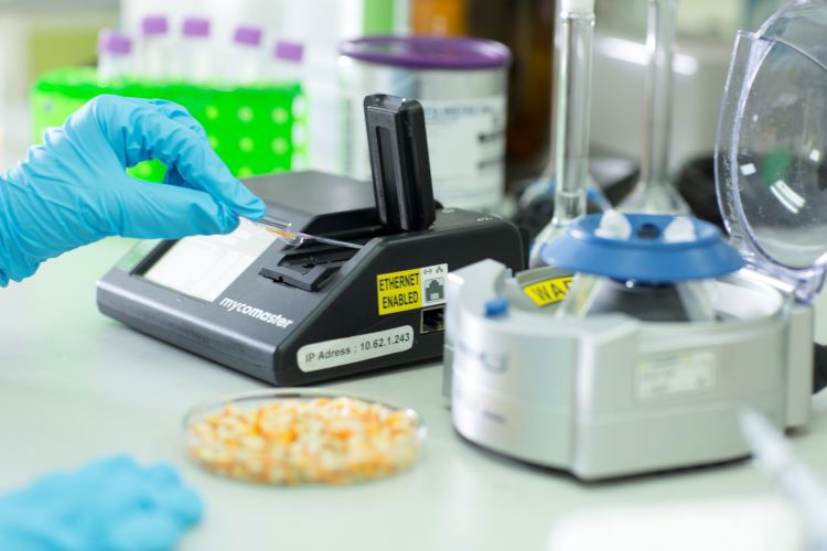 Mycotoxin analysis in Trouw Lab